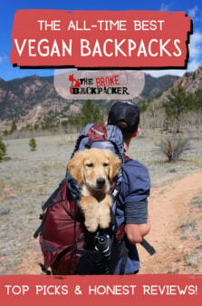 Best Vegan Backpacks Pinterest Image