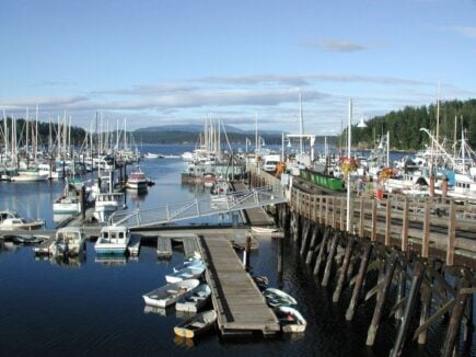 Port Friday Harbor