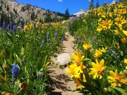 Lake Mary Park City