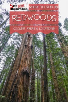 Where to Stay in Redwoods Pinterest Image