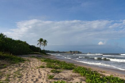 Playa Pelada Nosara