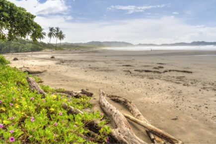 Playa Guiones Costa Rica