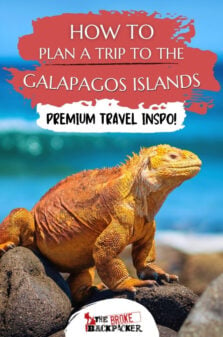 Best Galapagos Island Tours Pinterest Image