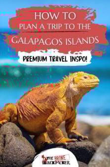 Best Galapagos Island Tours Pinterest Image