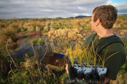 Wetland Conservation Volunteer