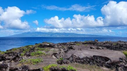 Kapalua Coastal trail Maui