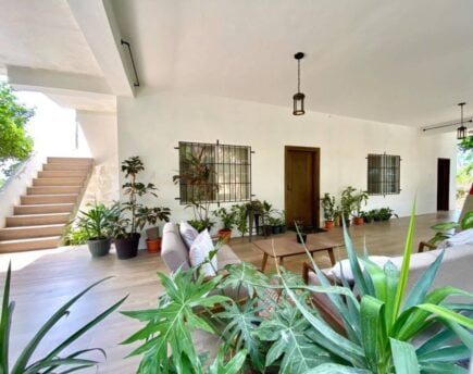 Trendy 1 Bed Apartment With Patio Belize