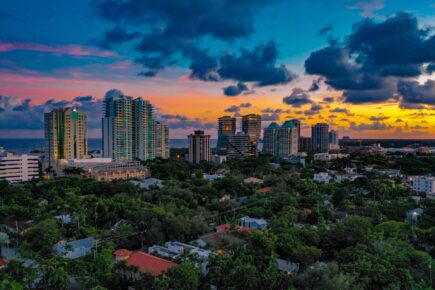 view of coconut grove greenery and high rises miami travel guide