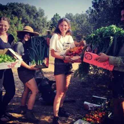 Organic Permaculture Farm Israel