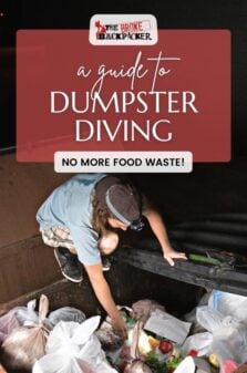 Dumpster Diving Pinterest Image