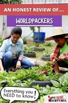 Worldpackers Review Pinterest Image