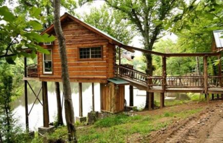 Tree Cabin, Georgia