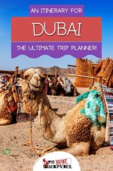 Dubai Itinerary Pinterest Image