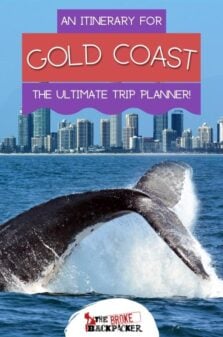 Gold Coast Itinerary Pinterest Image