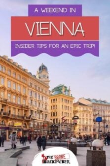 Women dating tips in Vienna for Chaturbate Porn