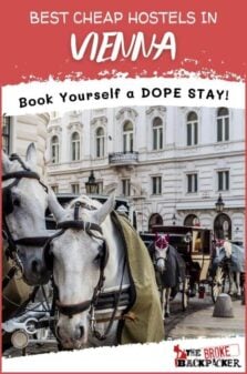 Cheap Hostels in Vienna Pinterest Image