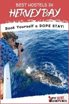 Best Hostels in Hervey Bay Pinterest Image