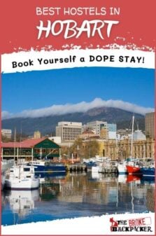 Best Hostels in Hobart Pinterest Image