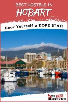 Best Hostels in Hobart Pinterest Image
