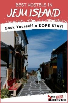 Best Hostels in Jeju Island Pinterest Image