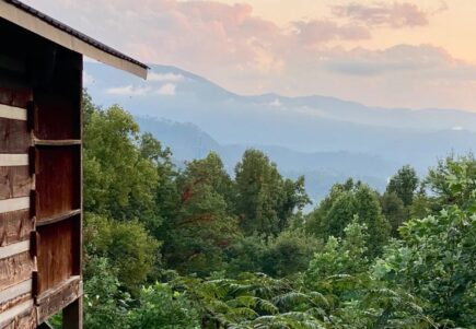 Charming mountain cabin sleeps two, Tennessee