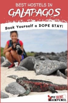 Best Hostels in Galapagos Pinterest Image