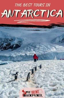 Best Trips to Antartica Pinterest Image