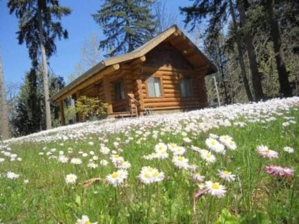 Studio Cabin near Lake Tapps, Washington