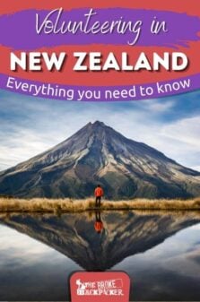Volunteering in New Zealand Pinterest Image