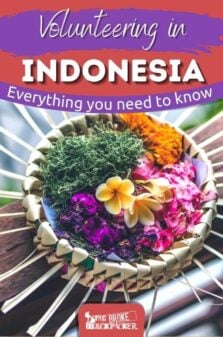 Volunteering in Indonesia Pinterest Image