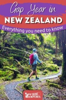 Gap Year in New Zealand Pinterest Image