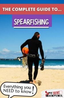 Spearfishing 101 Pinterest Image