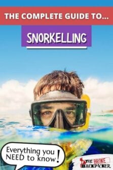 Snorkelling 101 Pinterest Image