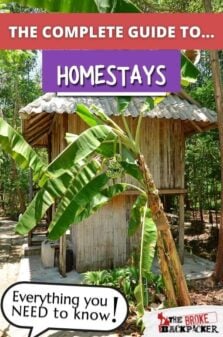 Homestays 101 Pinterest Image