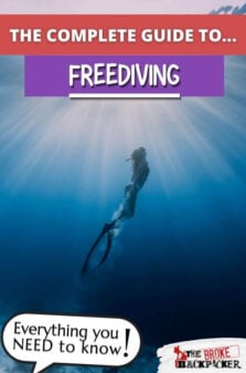 Freediving Guide 101 Pinterest Image
