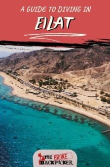 Diving in Eilat Pinterest Image