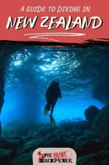 Diving in New Zealand Pinterest Image