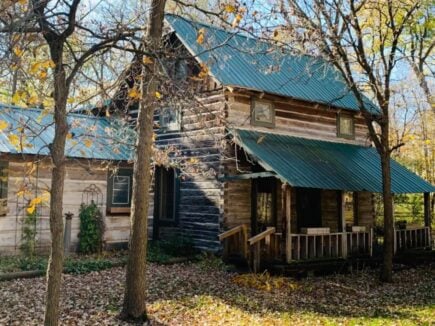 Rustic Cabin on Long Lake, Minnesota