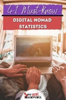 Digital Nomad Statistics Pinterest Image