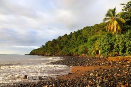 Pointe Noire, Guadeloupe 1