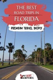 Road Trip Florida Pinterest Image