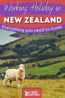 Working Holidays in New Zealand Pinterest Image