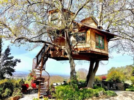 Treehouse With Silicon Valley View, California