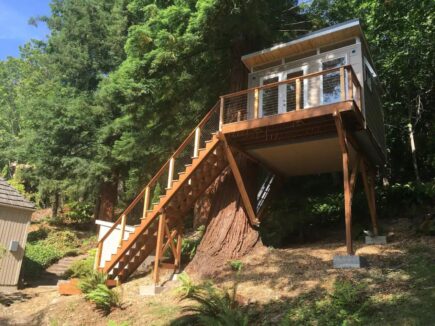 Cheap Treehouse with Views, Washington