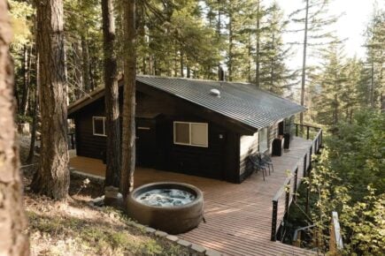 Mid Century Luxurious Treehouse, Washington