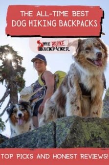Best Dog Hiking Backpacks Pinterest Image