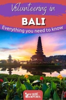 Volunteering in Bali Pinterest Image