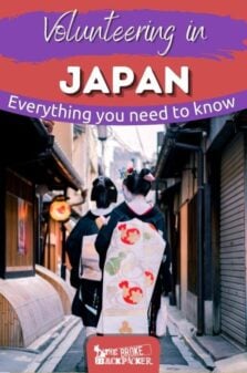 Volunteering in Japan Pinterest Image