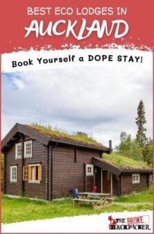 Best Eco Lodges in Auckland Pinterest Image