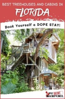 Best Treehouses and Cabins in Florida Pinterest Image